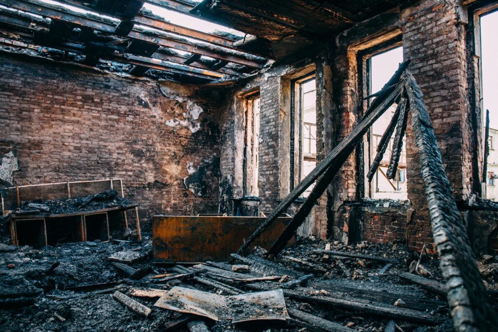 10 Budget-Friendly Mold Remediation Tips for Homeowners